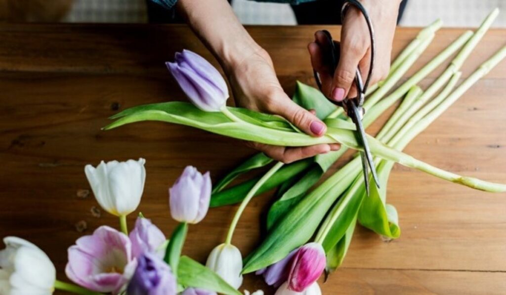 blog-flowercare-florazu-2