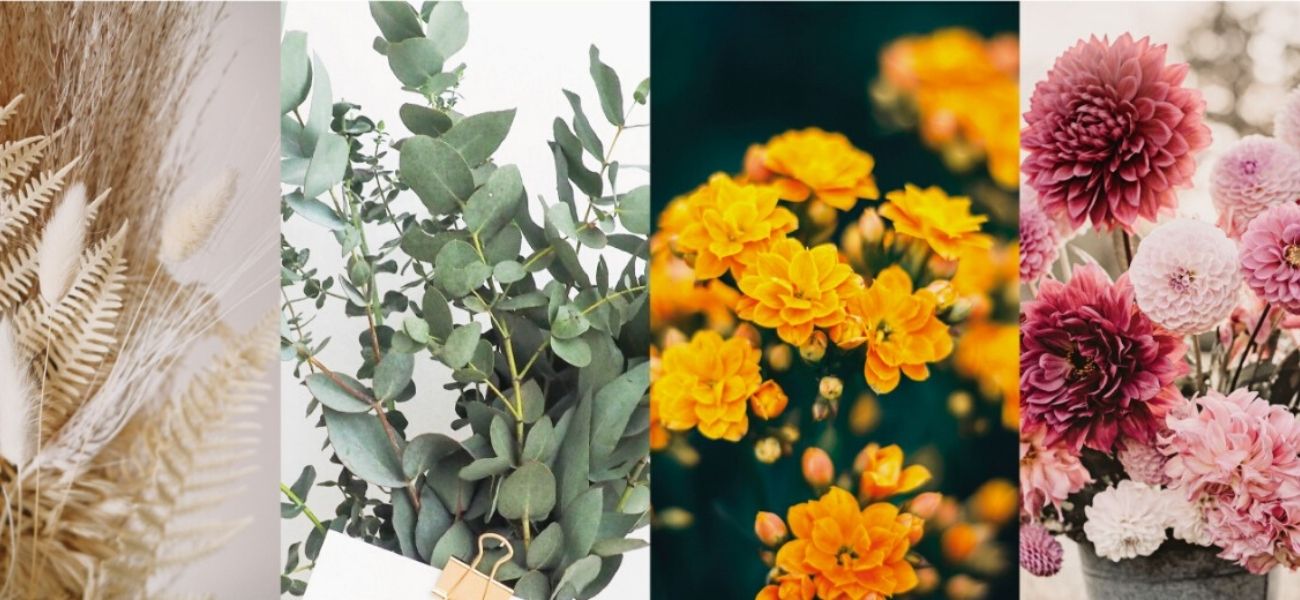 color-trends-article-florazu-header