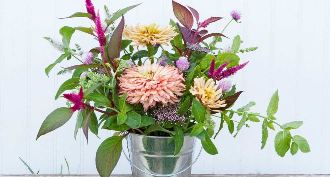 herbs-article-florazu-header